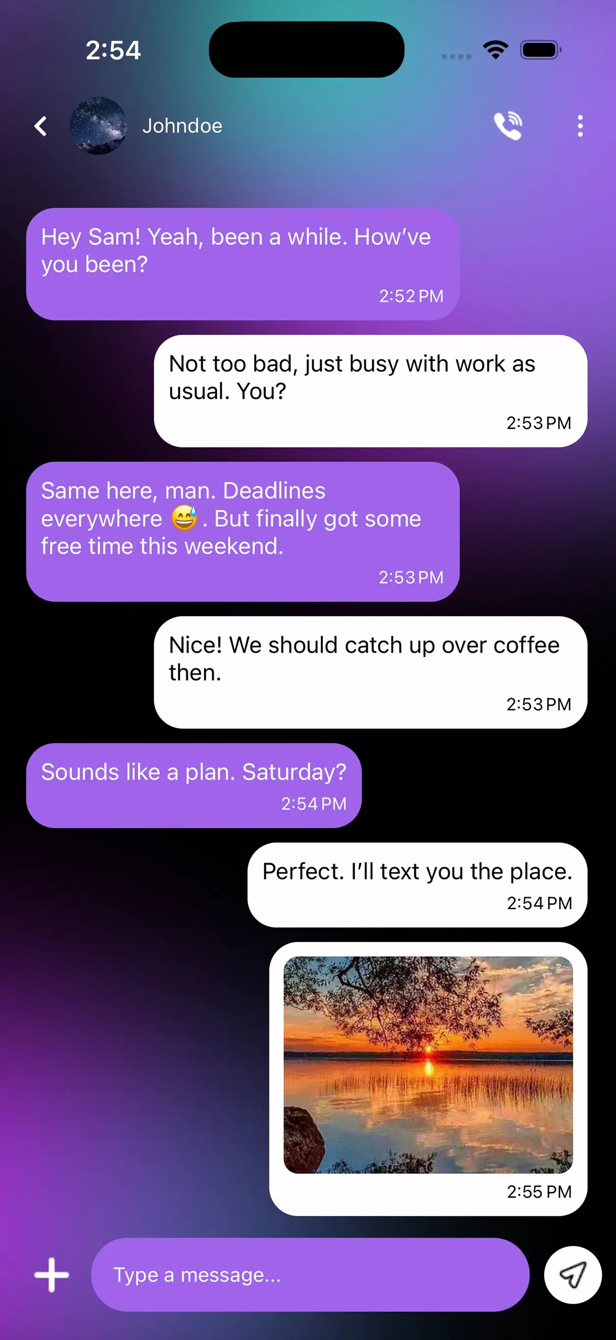 Wibet app chat screen showing conversation messages and chat interface 